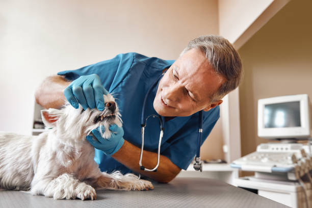 Best Emergency Tooth Extraction in Fowler, IN