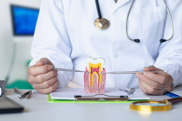 Best Pediatric Emergency Dentist in Fowler, IN